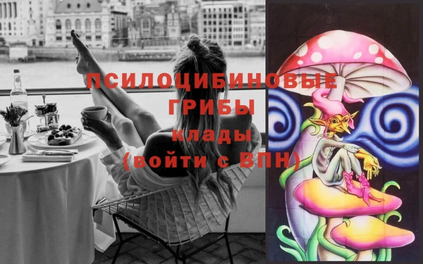 винт Баксан