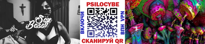 Галлюциногенные грибы Magic Shrooms  Курчалой 