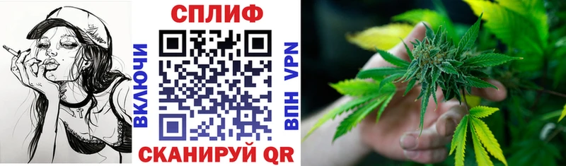 Марихуана план  где купить наркоту  Курчалой 
